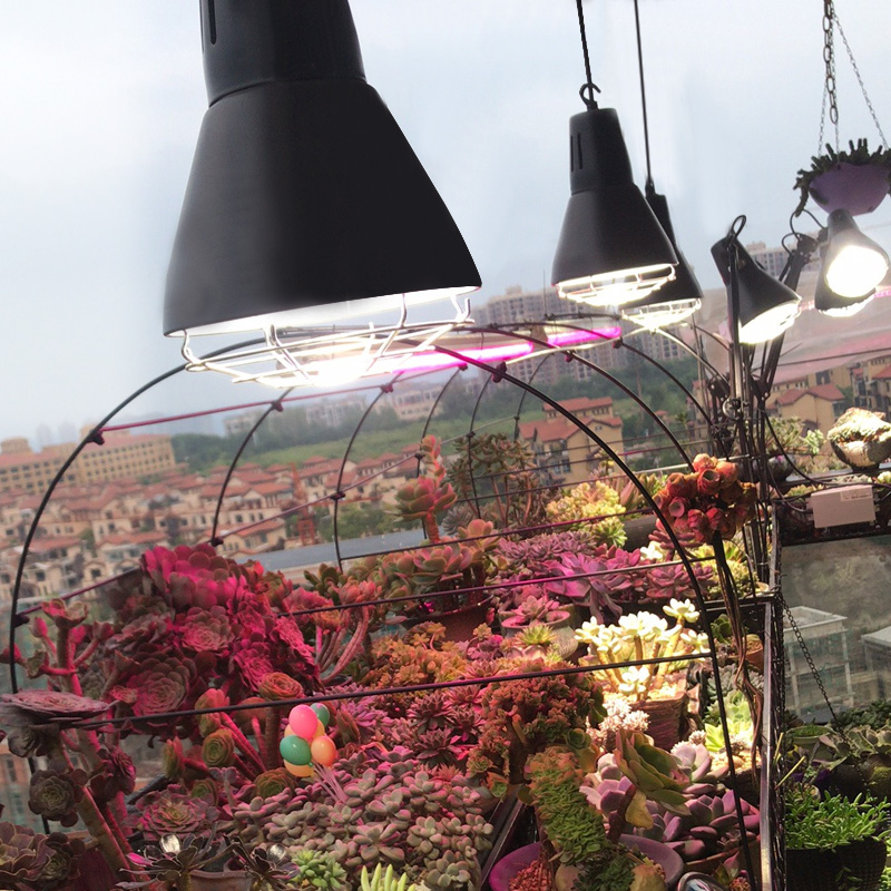 多肉补光全光谱uvb金卤灯70瓦紫外爆澡仿太阳防徒上色植物生长灯