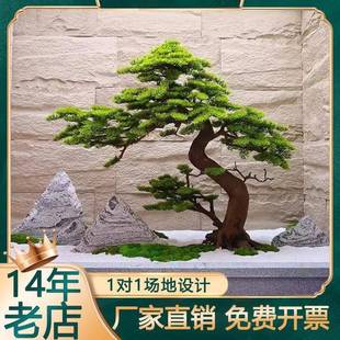 别墅地下室采光井造景新中式玄关迎客松组合摆件入户庭院石头造景