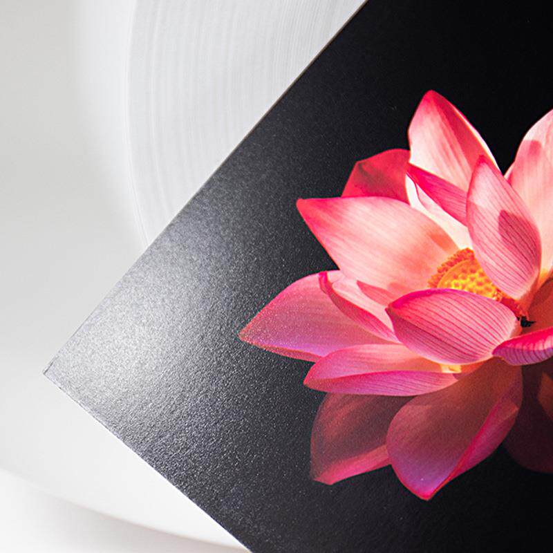 干式防RC260B彩扩水相纸RC绒面D700/D880DX100用纸/进口原纸厂家