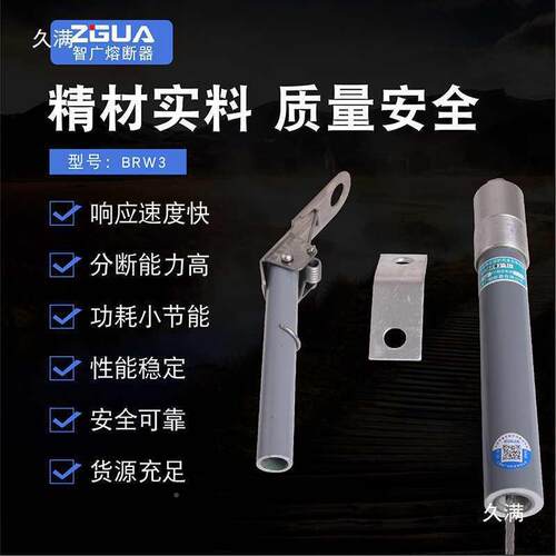BR2BR8WBRN-11DCF0-2KV高保压电容器护熔断器熔保险丝厂直供其他