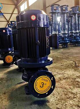 抽水泵5农用灌溉SG12-200I立管式高压道泵高温铸铁HCZ耐磨清水泵