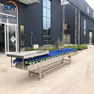 料盒式全自动重量分选机 海鲜称重分拣机 小龙虾多级重量分选秤