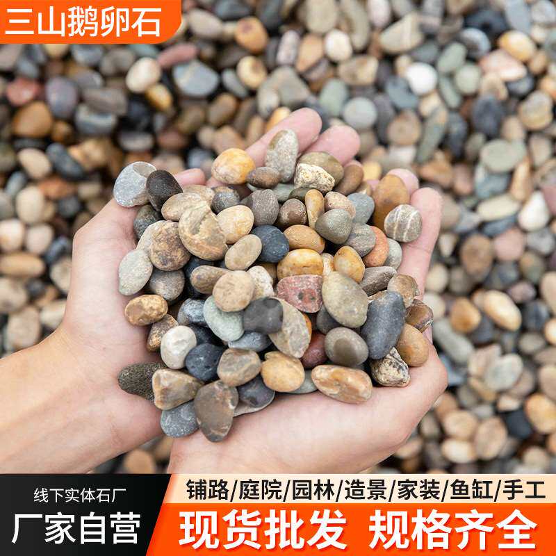 豆石滤料地暖高温回填石头工程铺地回填盆栽铺面鱼缸造景小石子