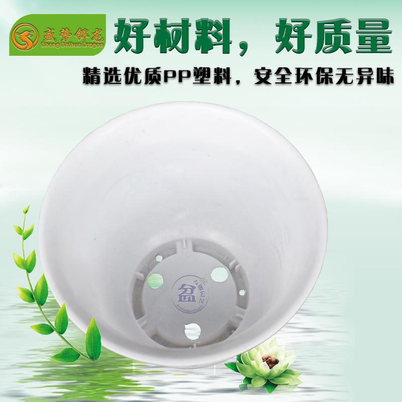 白色兰花盆中式菊花盆加厚塑料花盆防陶瓷花盆园艺种植花盆