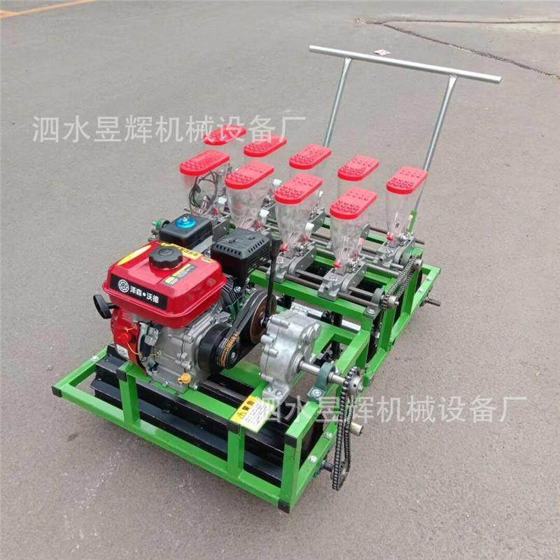 蔬菜种植小型点播机 可定多行油菜香菜播种机 好操作点播整齐,电子元器件市场,其它元器件,淘宝优惠券,粉丝福利购,淘宝优惠卷