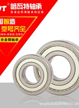 HWT高温合金钢轴承FT6011 6012 6013 6014 6015ZZ厂家直销