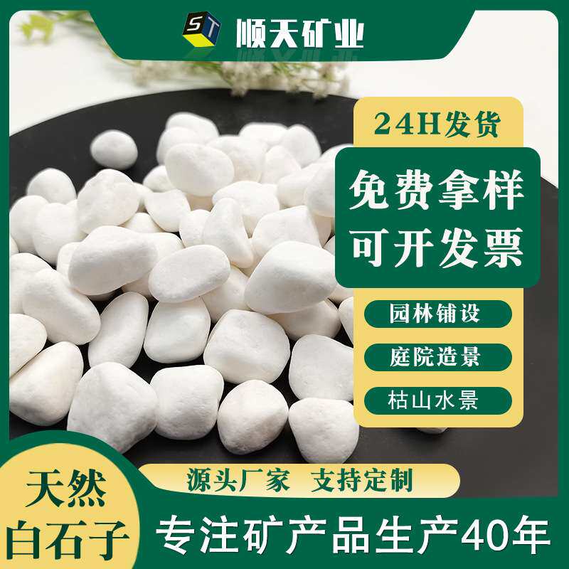 现货 白色鹅卵石 多肉铺面石子 花盆园林造景水磨石枯山水石子