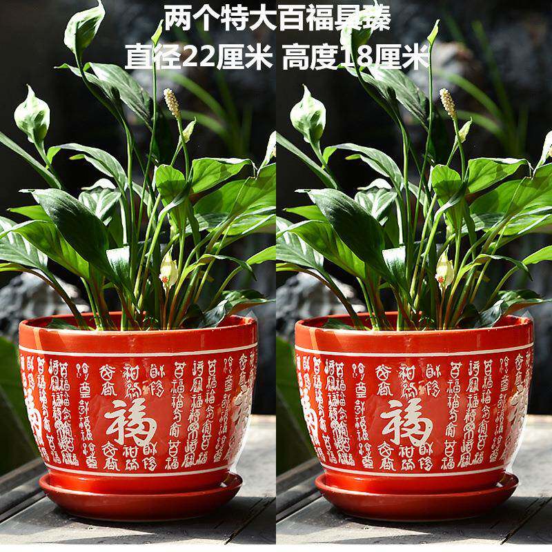 厂家直销花盆陶瓷创意个性大号特大号带托盘家用绿萝多肉花盆,电子元器件市场,其它元器件,淘宝优惠券,粉丝福利购,淘宝优惠卷