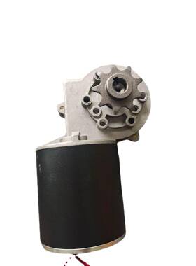 24V250W电动竞速车滑行车电机低速60转减速电机农用机械设备电机