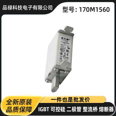170M1560 170M1561 170M1562快速熔断器直流熔芯原装现货速断