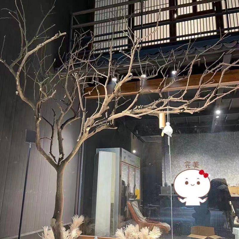 枯树造型树天然实木干树枝装饰猫咖啡店橱窗庭院布景大型落地假树