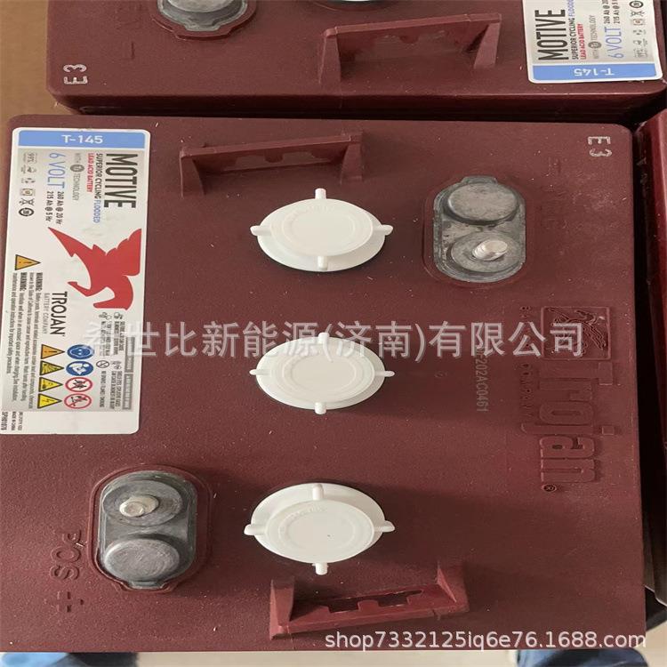 Trojan邱健蓄电池 T-145洗地机6V260AH升降机观光车堆高车