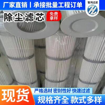 耐高温工业除尘滤筒 粉尘煤灰空气过滤器滤芯SYHB463工业除尘滤芯