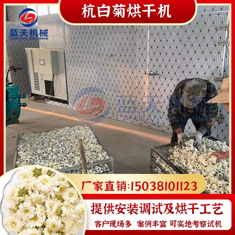 杭白菊烘干机 杭白贡菊振兴农业烘干房项目 全自动小白菊烘干设备