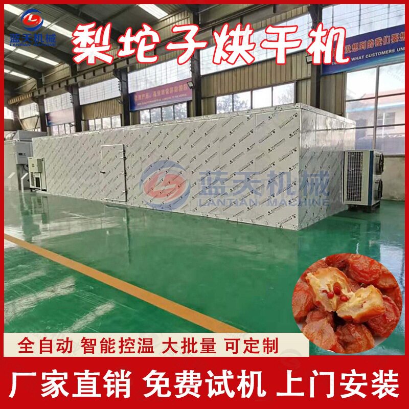 东北鞍山梨坨烘干机 梨干果脯梨坨子风干机 空气能尖把酸梨烘干房