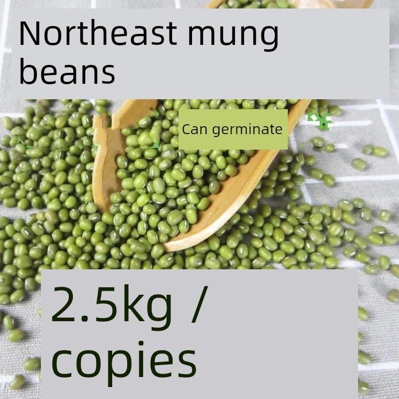 新粮鲜绿豆农产豆芽绿豆沙饼汤散装2.5公斤