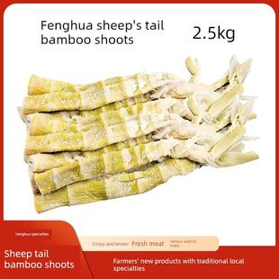 宁波特产奉化羊尾笋500g雷竹笋扁尖笋盐笋干礼盒手撕天然美味嫩笋