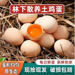 散养农家谷物喂养鲜鸡蛋单枚40g(土鸡蛋)