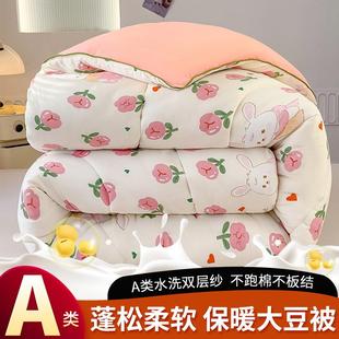 A类双层纱被子冬被芯保暖110x150cm多规格可选