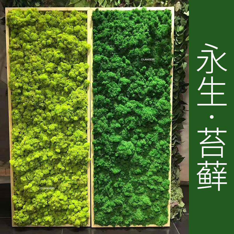 永生苔藓真苔藓婚庆家居工程造景仿真绿植仿真植物仿真花