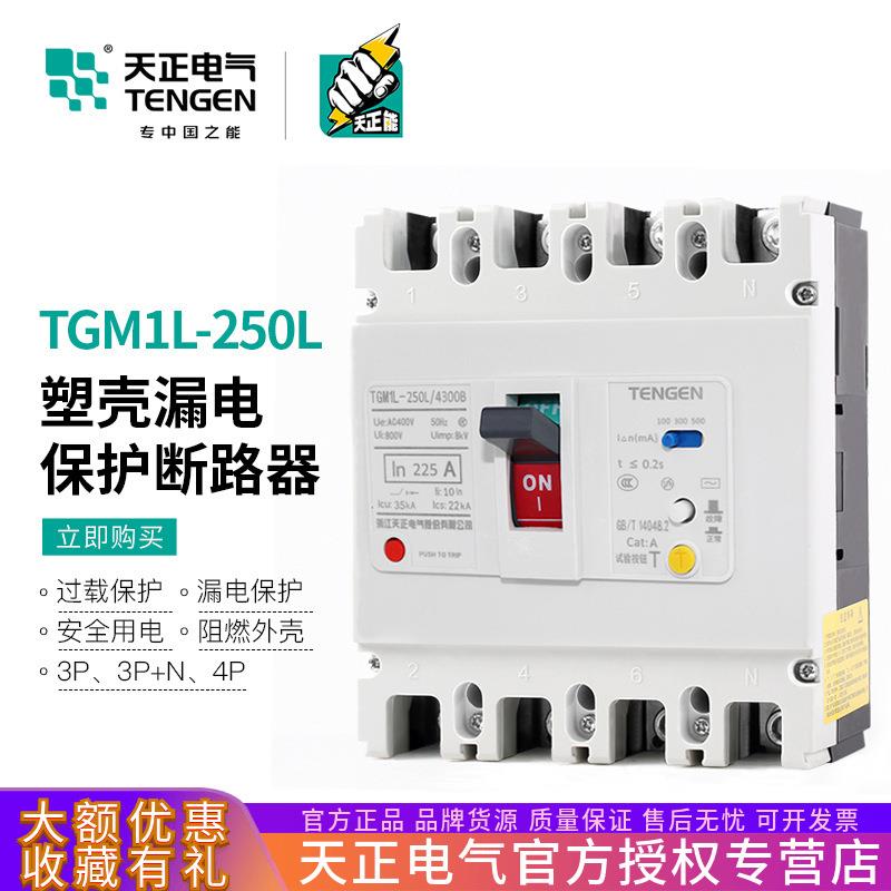 天正 TGM1L-250L/4300B 250A漏电保护空气开关塑壳断路器200A160A