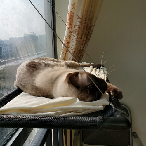猫咪挂式秋千挂墙窗台吸盘吊床猫用的掉床吊窝晒太阳挂窗摇篮猫窝