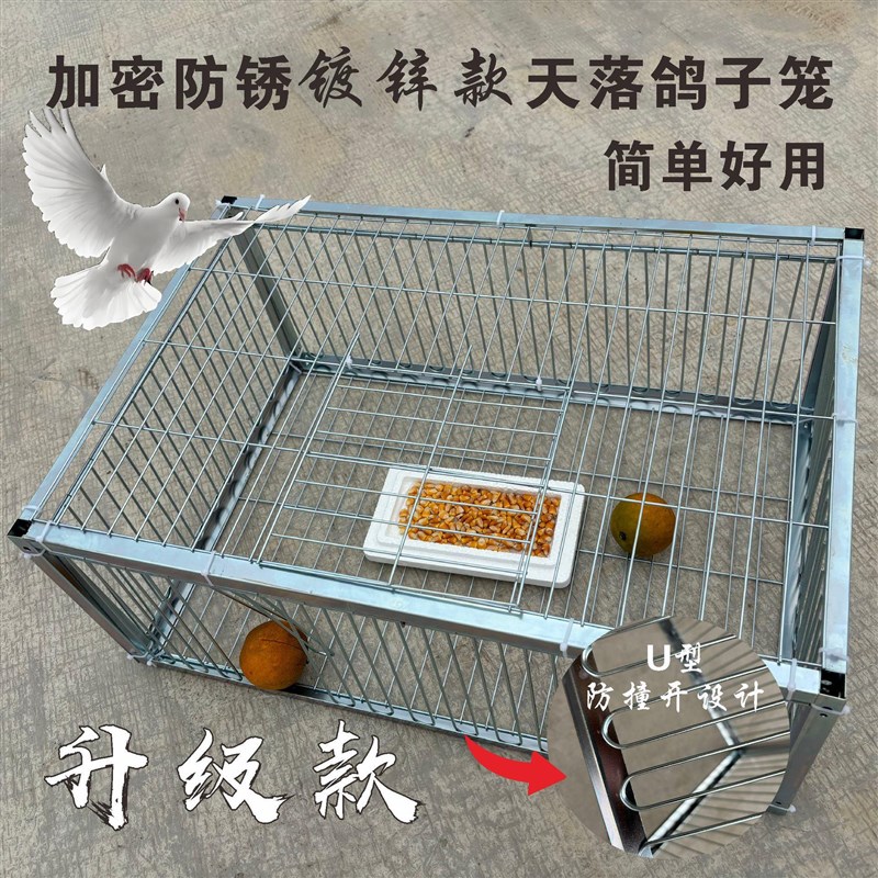 全自动只进不出门天落网笼鸟户外收鸽笼抓鸽子神器撞门笼新款防锈图片