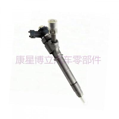 柴油喷油器共轨喷油器 0445110250 WLAA13H50型号齐全110系列