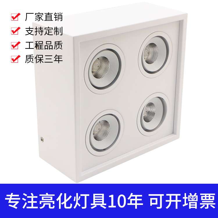 方形4头3头2头单头明装豆胆灯10W20W30W40W家具展厅商业照明专用