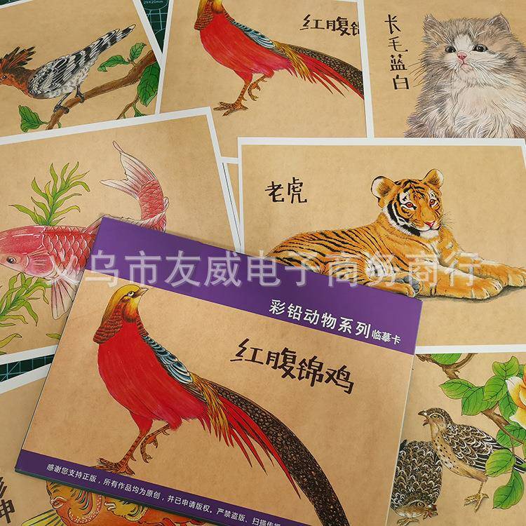 【可米丽安】A4覆膜高清画室创意美术彩铅临摹卡动物植物手绘线稿