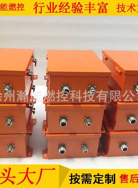 高能点火器CNDH-20 输入220VAC 输出2500V 20J