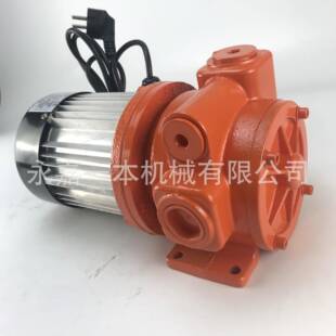 220v减速泵 大头泵 车载加油机油泵 石油配件 加油机配件