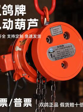 双鸽环链电动葫芦380V固定式2T3T5吨10吨DHT-Z型环链电动提升机