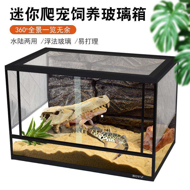 博宇宠物缸陆龟守宫蜥蜴爬宠养殖箱透气宠物饲养箱玻璃桌面宠物箱,鲜花速递/花卉仿真/绿植园艺,割草机/草坪机,淘宝优惠券,粉丝福利购,淘宝优惠卷