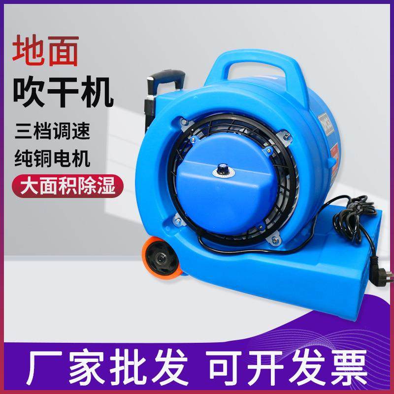 酒店地毯厕所地面地板除湿吹地机冷热吹干机商用大功率干燥吹风机,鲜花速递/花卉仿真/绿植园艺,割草机/草坪机,淘宝优惠券,粉丝福利购,淘宝优惠卷