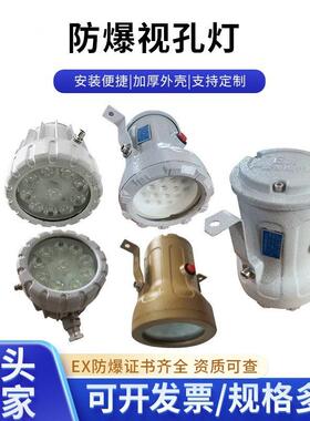 防爆视孔灯BSD96化学容器LED视孔灯12V24V36V220V反应釜视镜灯