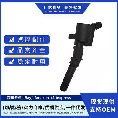 厂价1L2Z2029AA 2W7Z12029AA 3W7Z12029AA点火线适用福特