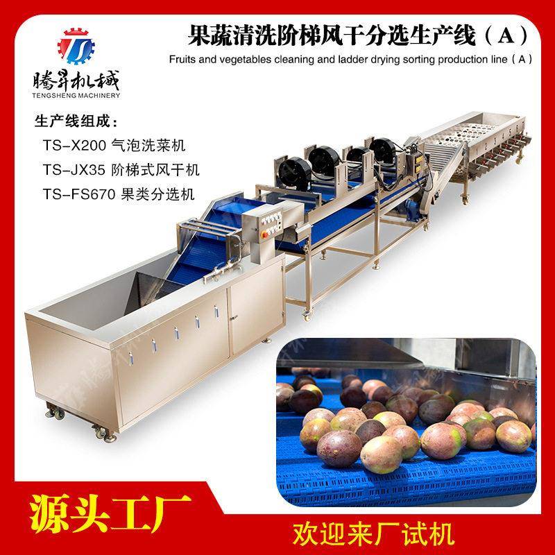 供应果蔬清洗阶梯风干分选生产线 源头厂家生产线 水果加工设备