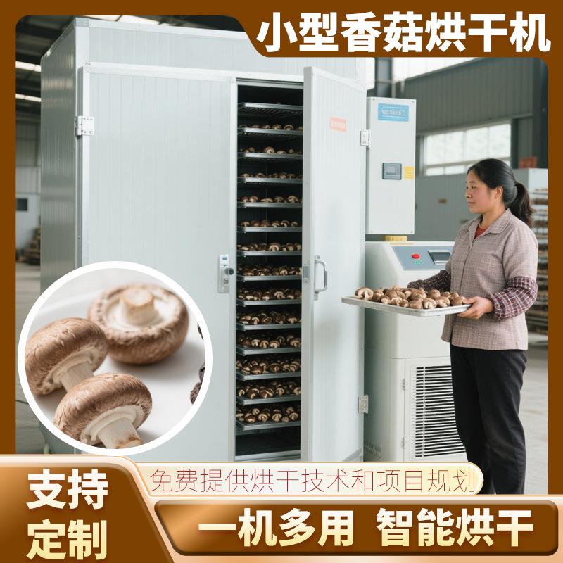 跃维辣椒烘干机小型 电加热青红辣椒烘干机 朝天椒尖椒烘干箱设备