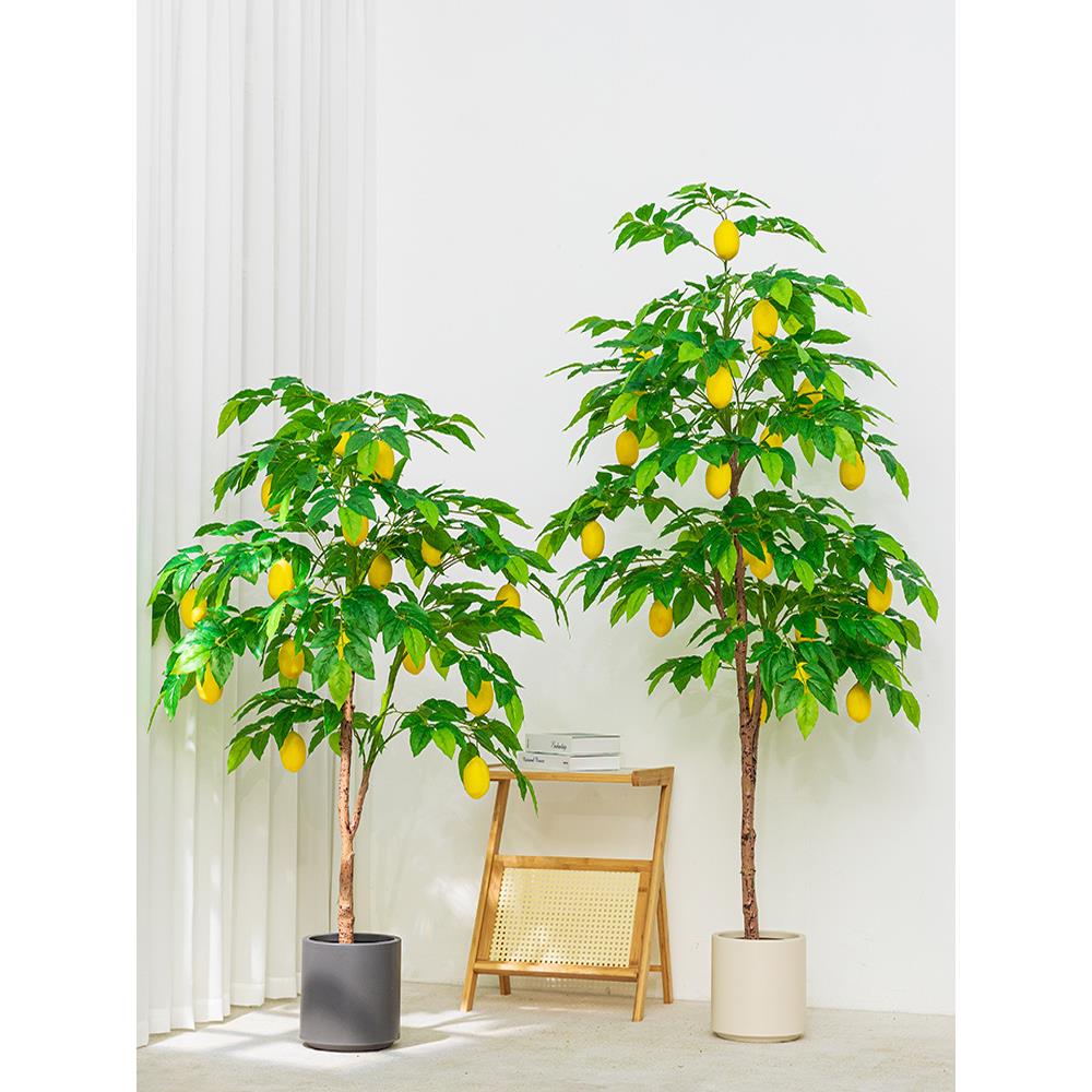 仿真绿植柠檬树盆栽水果树仿生假绿植装饰客厅大型室内落地摆件