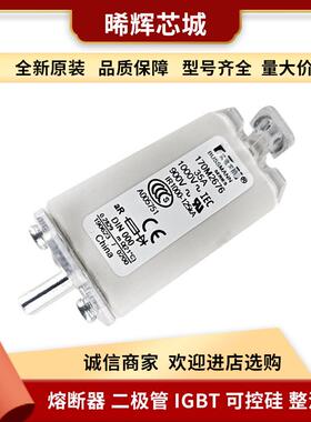 170M2610 170M2611库存充足 型号齐全电子元器件巴斯曼低压熔断