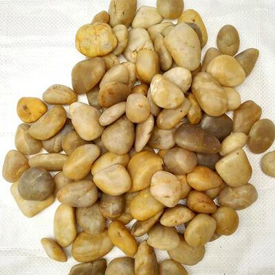 黄鹅色抛鱼无品牌/缸光卵石园林造景雨花石子工程铺路垫底按摩石头砾石