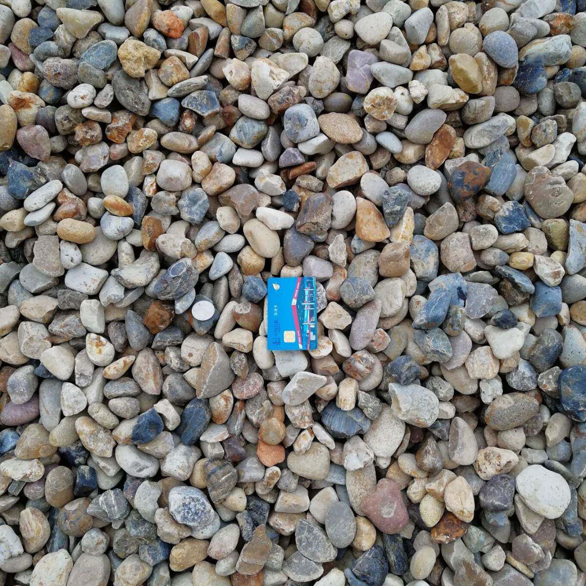 压器卵石污水处理工程园林变地石子铺庭院造景河道石头滤ALM鹅料