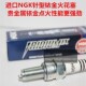 AD2 AD1 AD3 200 Series进口NGK铱金火花塞 金城草蜢 400 ADIVA