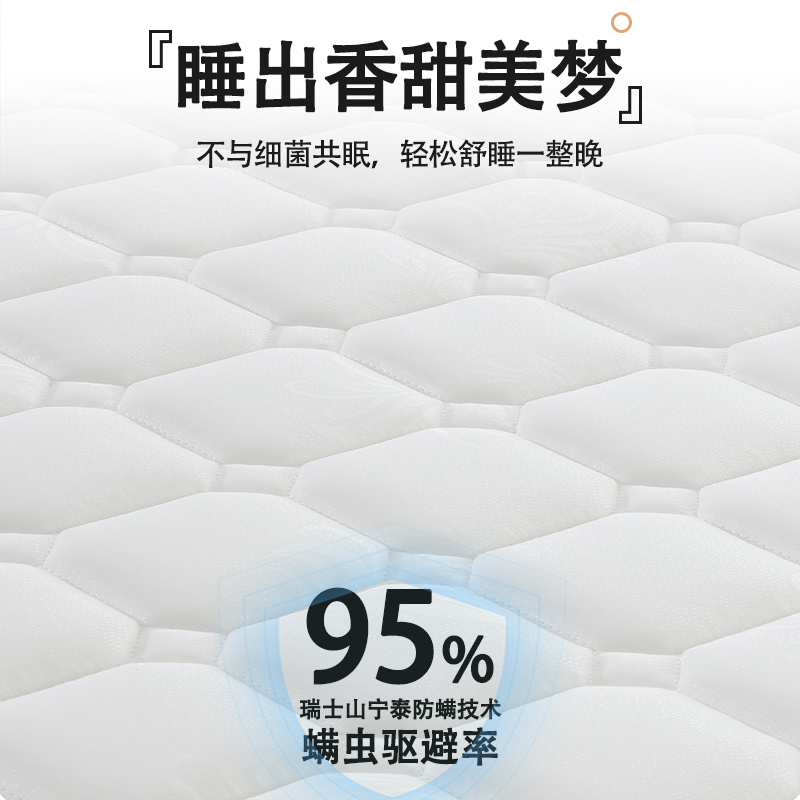特硬床垫子环保天然纯棕家用粽卧室护脊腰1米2出租房10公分薄单人