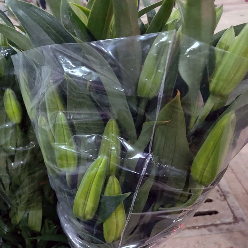 鲜花百合花直批家用室内水养速递同城玫瑰花基地直供云南一扎10枝