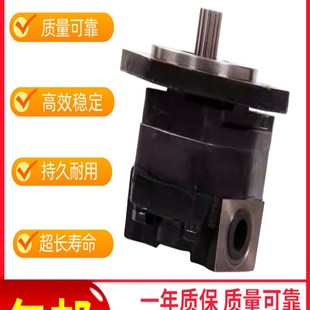 F25 F20 AFL齿轮油泵CBTZTD F23 CBTZTD