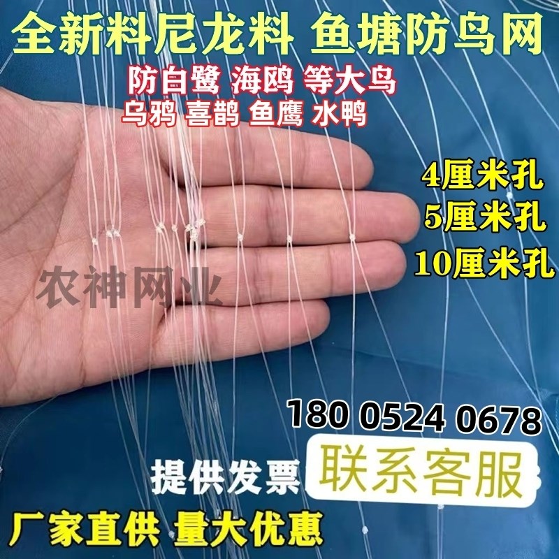 鱼塘防鸟网4厘米5厘米网眼10公分大网孔池塘泥鳅青蛙龙虾养殖天网