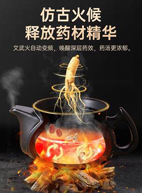中药养生电煎壶全自熬药药熬汤砂锅药罐家用煎锅炖药煲动YH001药