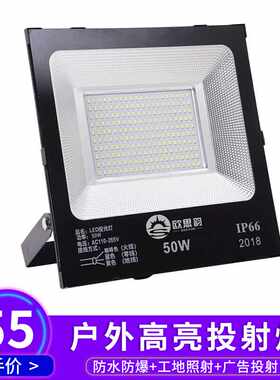 欧思韵LED投光灯户外防水泛光灯50w100w200w300w广告招牌庭院工厂